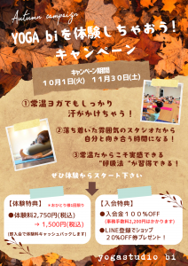 Brown Rustic Ripped Autumn Festival Flyer A4